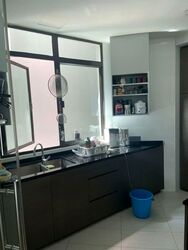 Parc Oasis (D22), Condominium #593727391